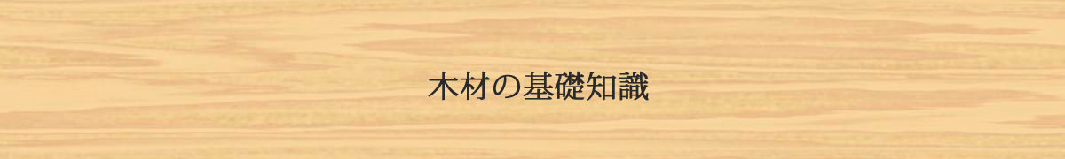 木材の基礎知識