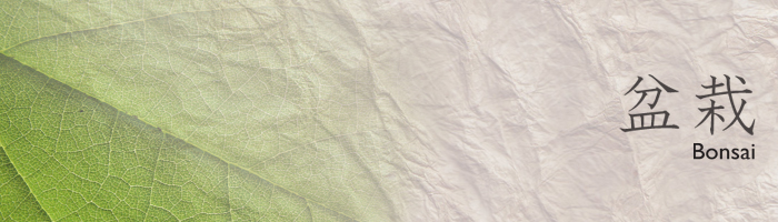 盆栽・特殊鋏【ぼんさい・とくしゅ】