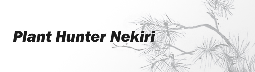 Plant Hunter Nekiri シリーズ