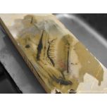 TG120 天然砥石 奥殿 巣板