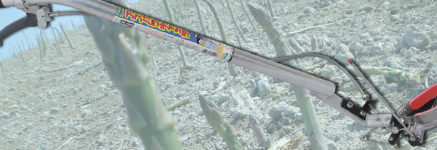 アスパラキャッチ