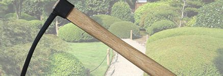 コトンガ　池田型