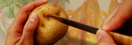 カービングナイフシリーズ