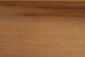 ベイスギ【米杉】