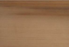 エゾマツ【蝦夷松】