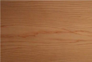 イチイ【一位】